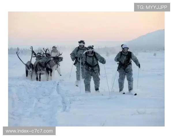 国际训练周日志：中国选手适应性滑行数据汇总
